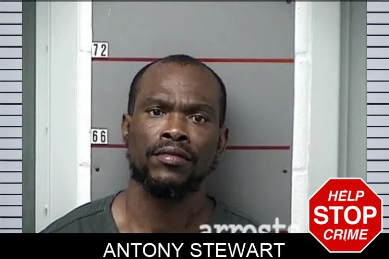 Antony Stewart