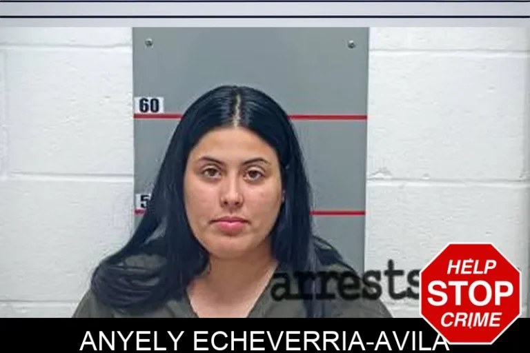 Anyely Echeverria-Avila