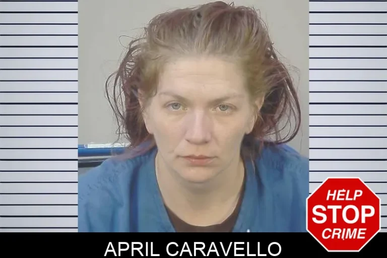 April Caravello