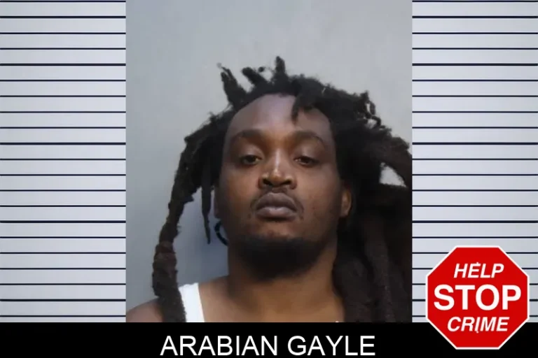Arabian Gayle