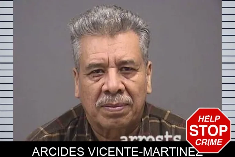 Arcides Vicente-Martinez