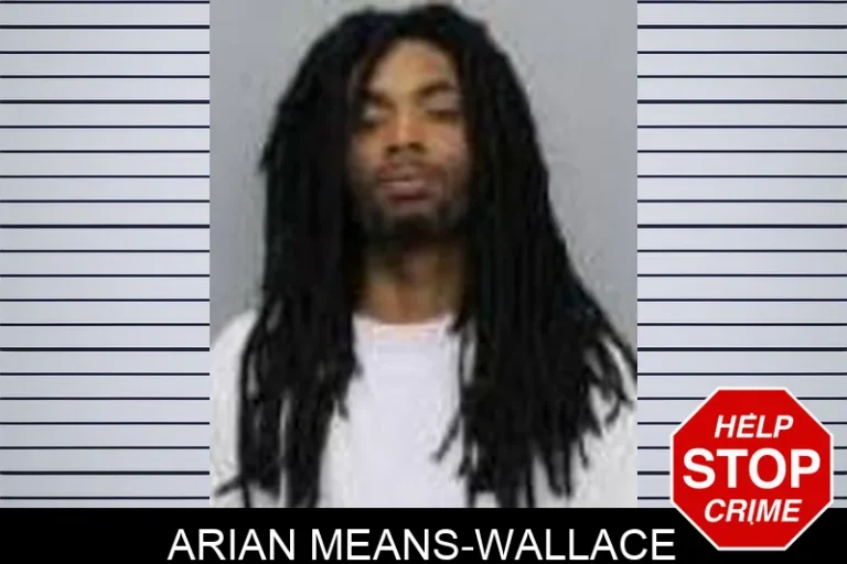 Arian Means-Wallace