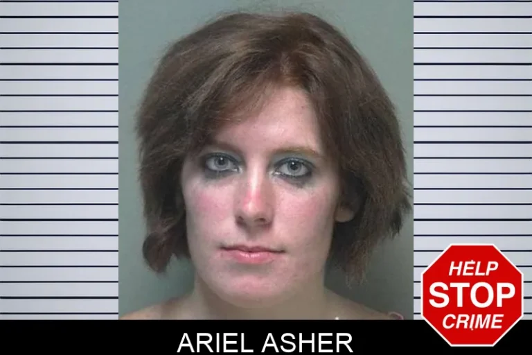 Ariel Asher