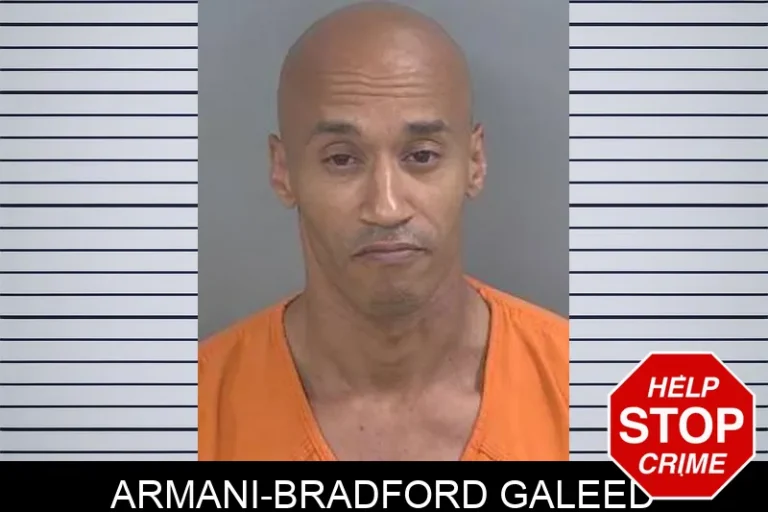 Armani-Bradford Galeed