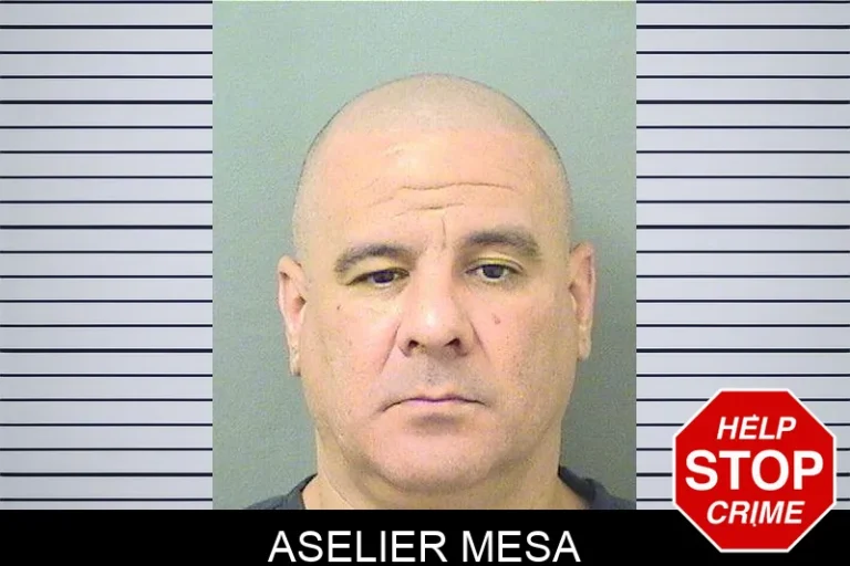 Aselier Mesa