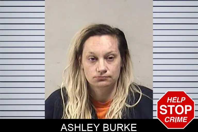 Ashley Burke
