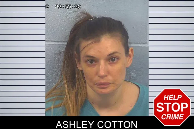 Ashley Cotton