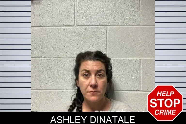 Ashley Dinatale