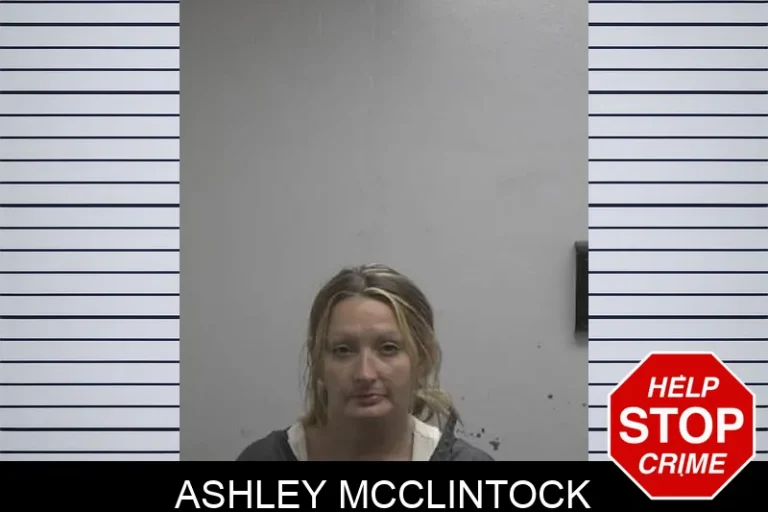 Ashley McClintock