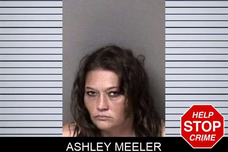 Ashley Meeler
