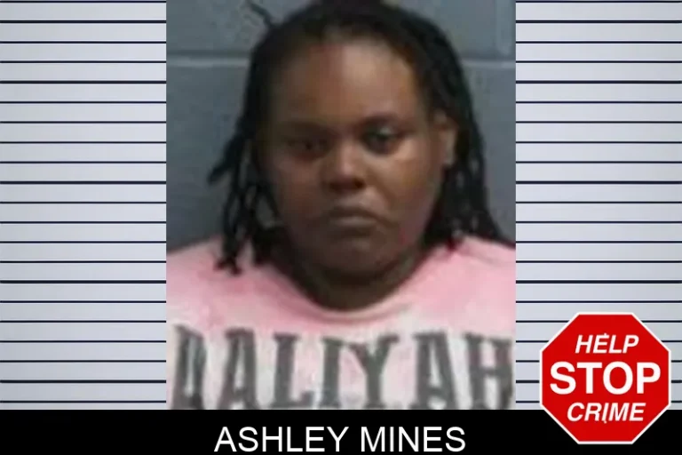 Ashley Mines