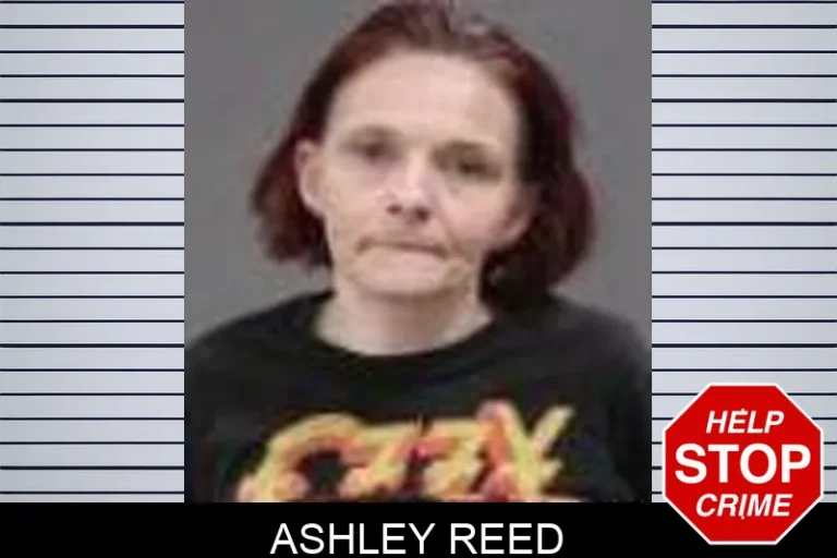 Ashley Reed