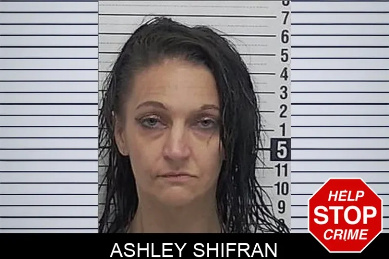 Ashley Shifran