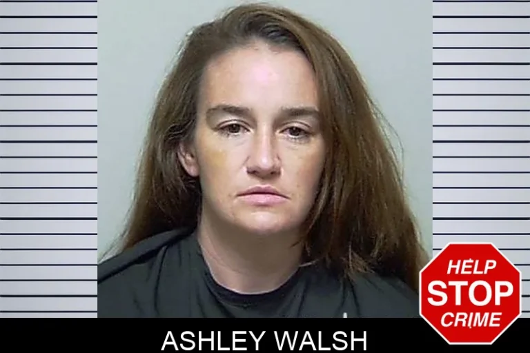 Ashley Walsh