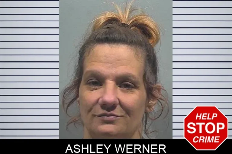 Ashley Werner