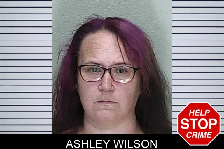Ashley Wilson