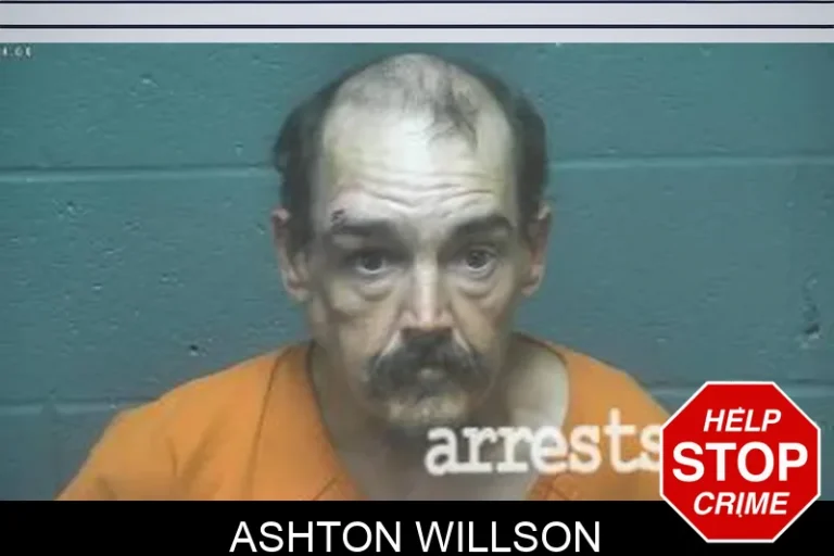 Ashton Willson