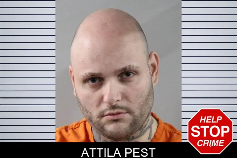 Attila Pest