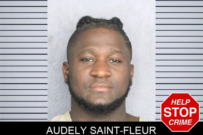 Audely Saint-Fleur