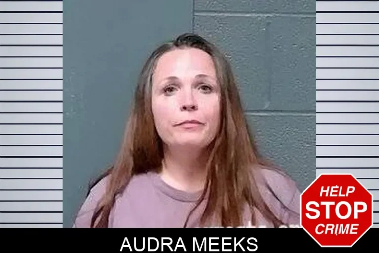 Audra Meeks