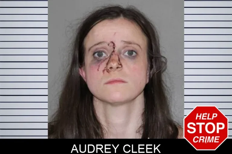 Audrey Cleek