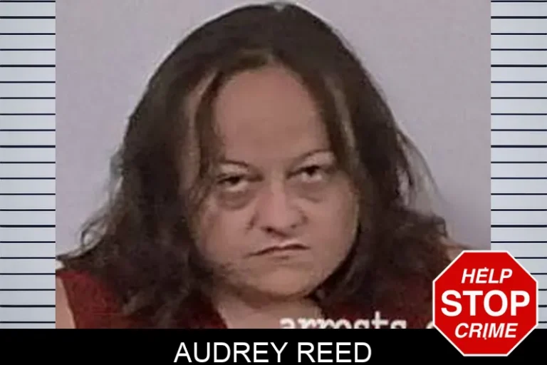 Audrey Reed