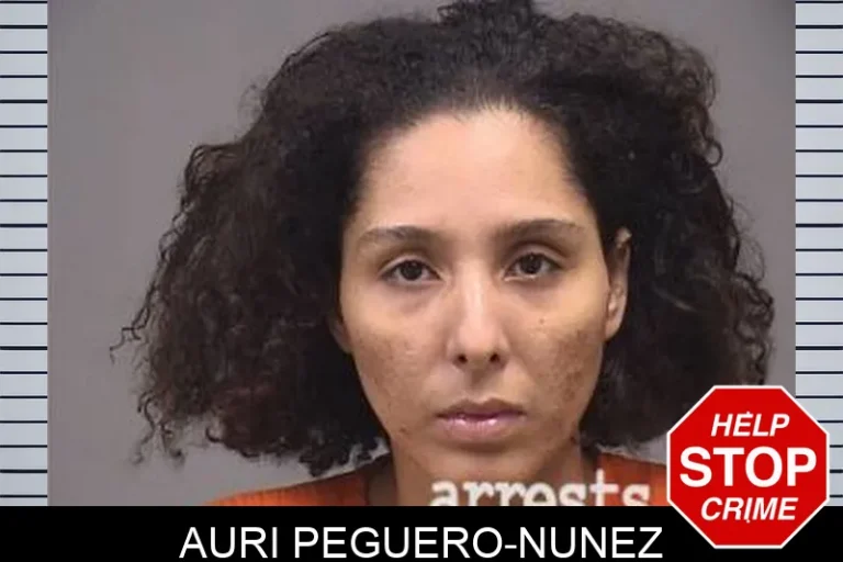 Auri Peguero-Nunez