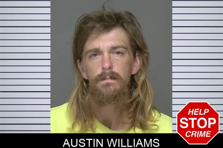 Austin Williams