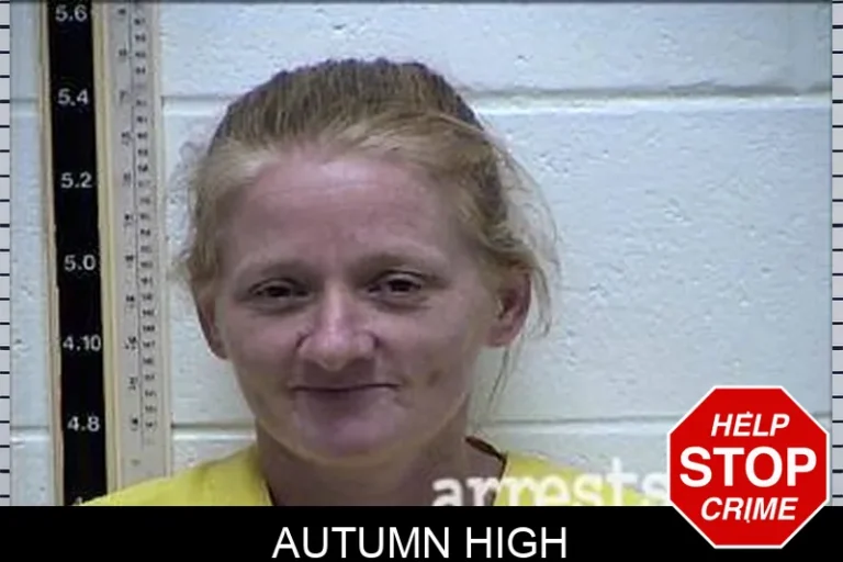 Autumn High