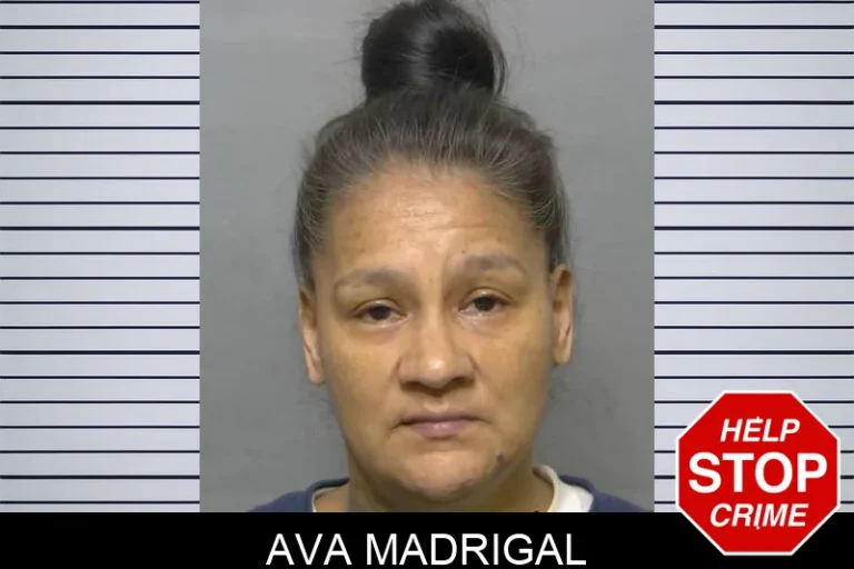 Ava Madrigal