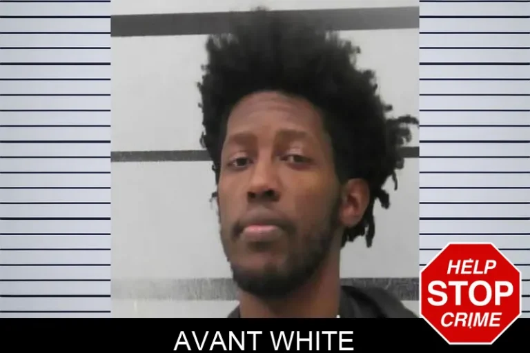 Avant White