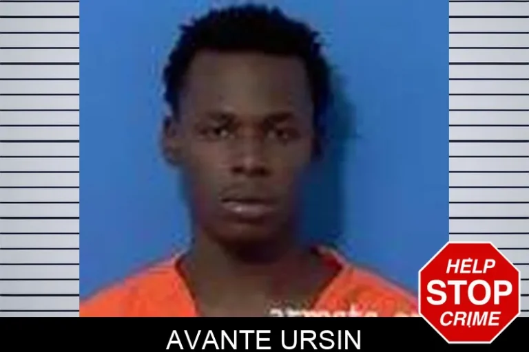 Avante Ursin