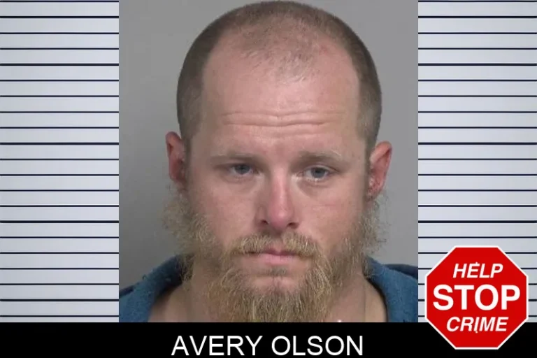 Avery Olson