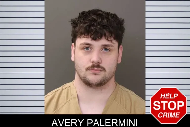 Avery Palermini