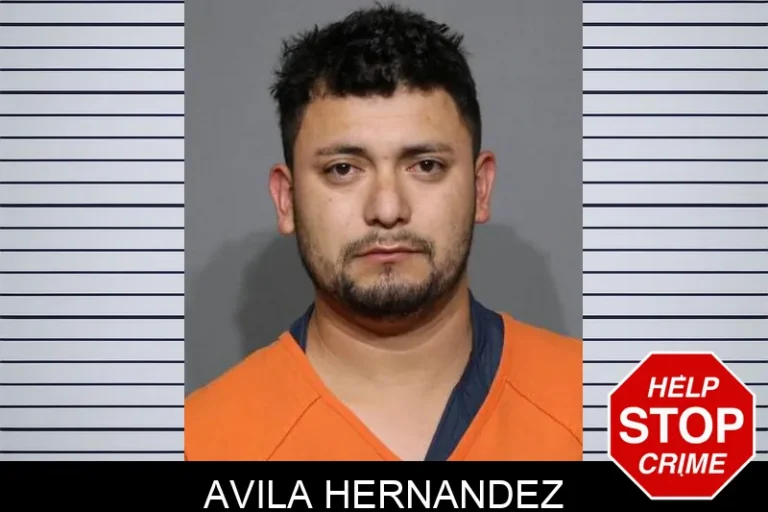 Avila Hernandez