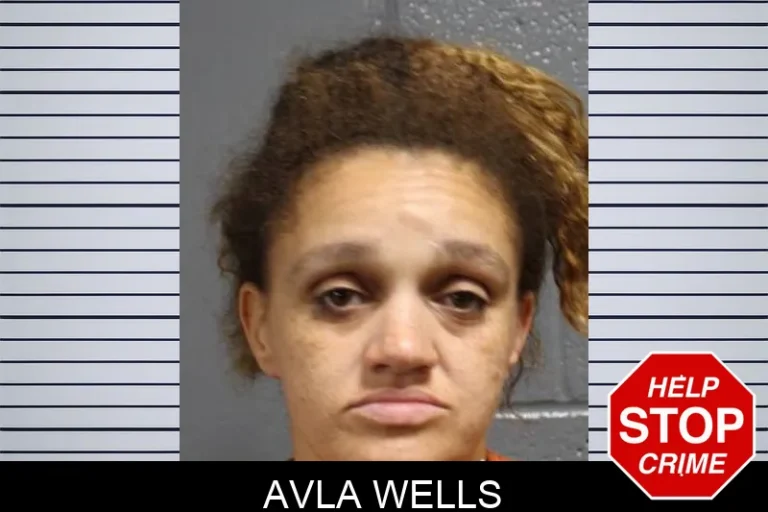 Avla Wells
