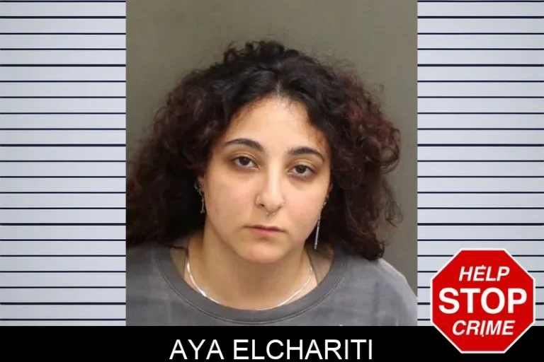 Aya Elchariti
