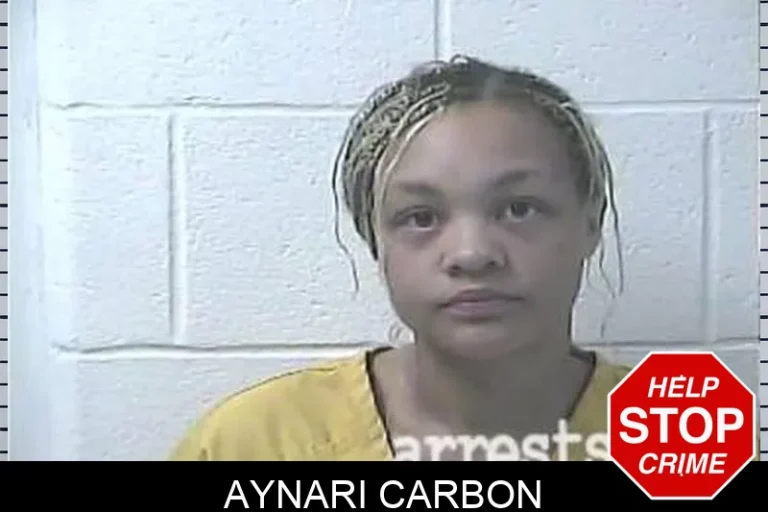 Aynari Carbon