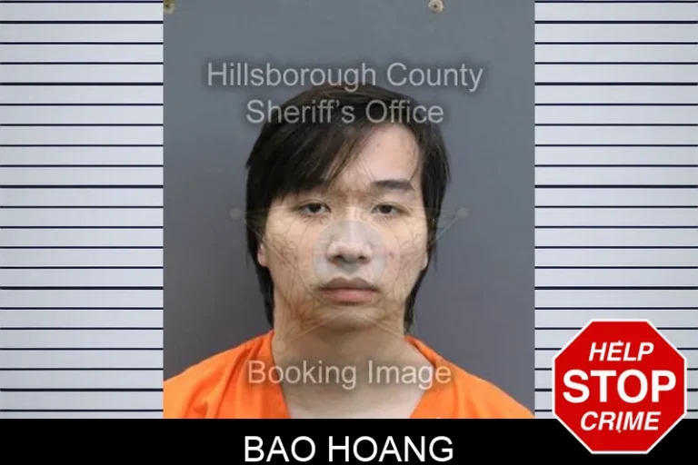 Bao Hoang
