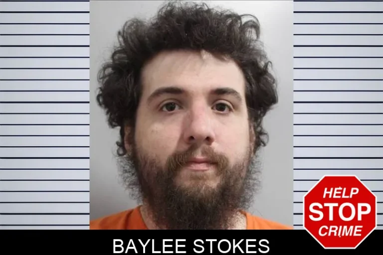 Baylee Stokes