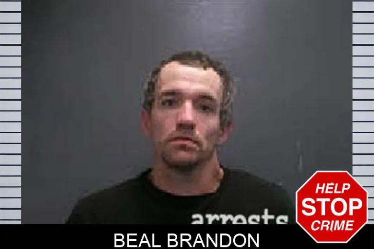 Beal Brandon
