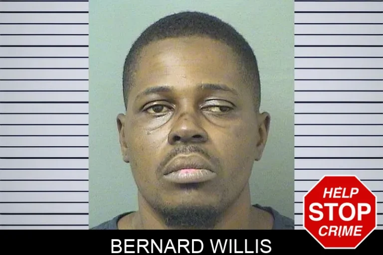 Bernard Willis