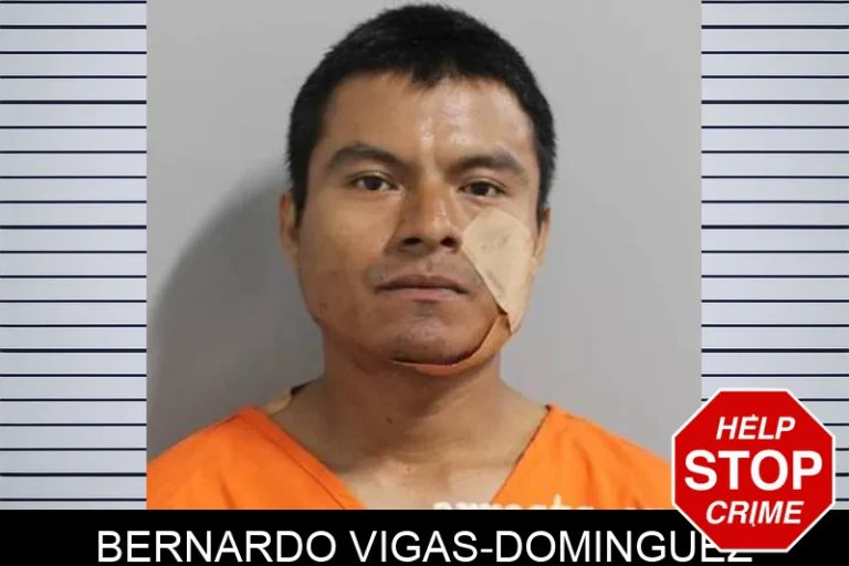 Bernardo Vigas-Dominguez