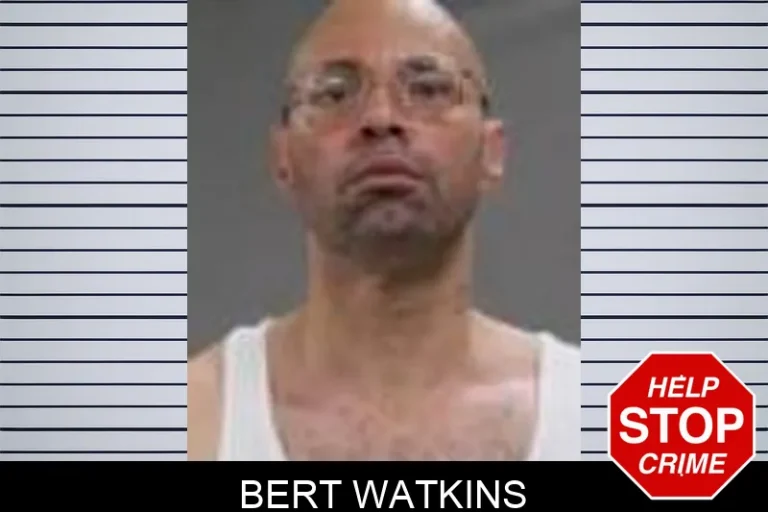 Bert Watkins