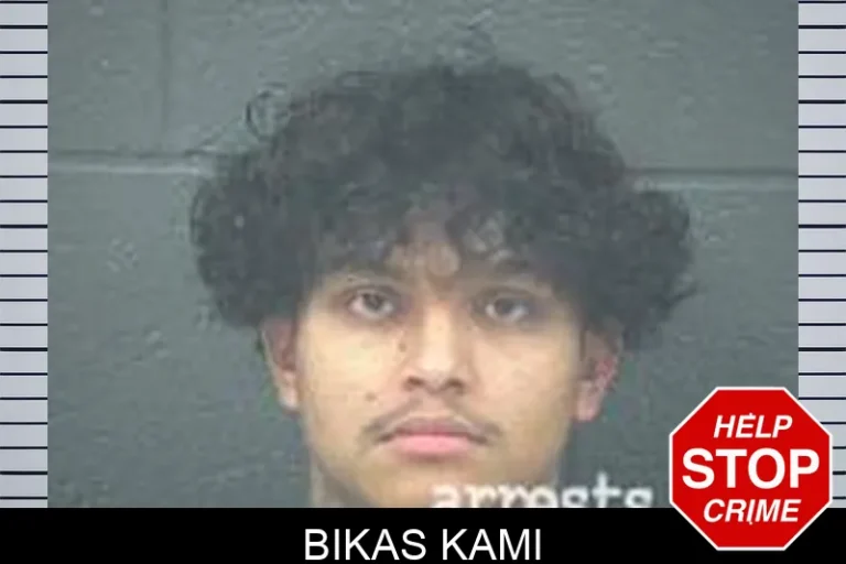 Bikas Kami