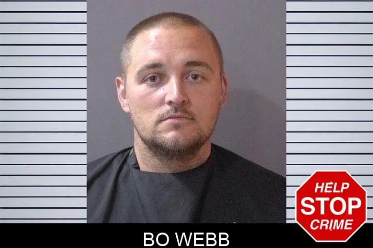 Bo Webb