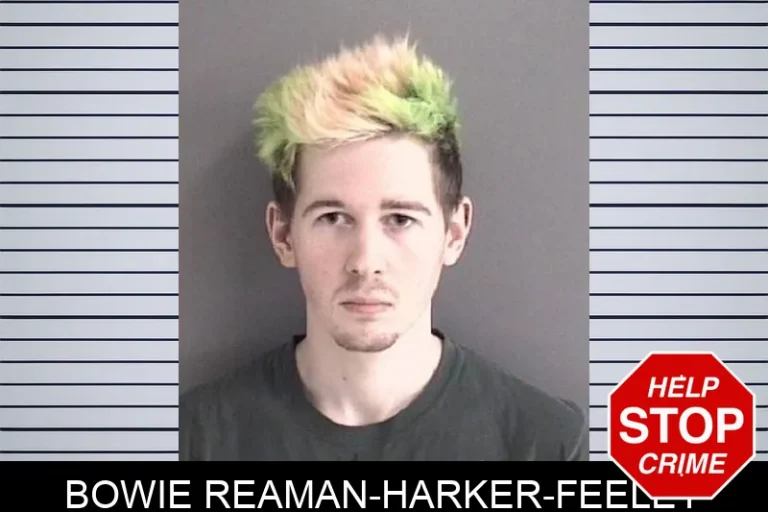 Bowie Reaman-Harker-Feeley