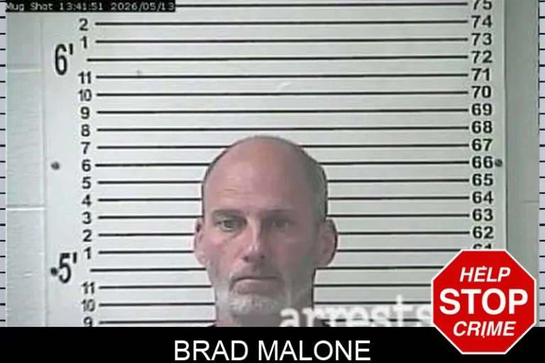 Brad Malone