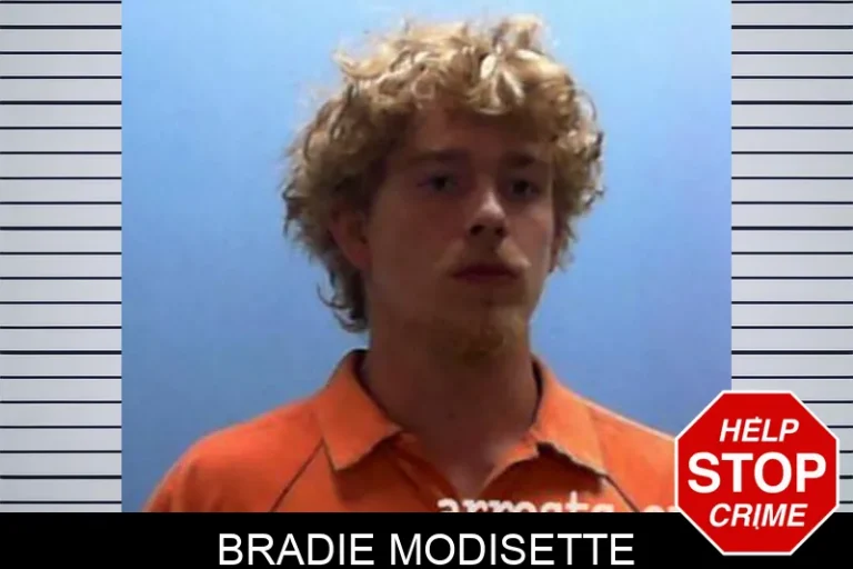 Bradie Modisette