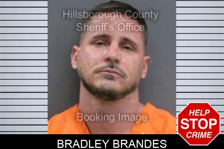 Bradley Brandes